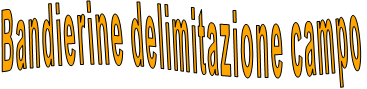 Bandierine delimitazione campo